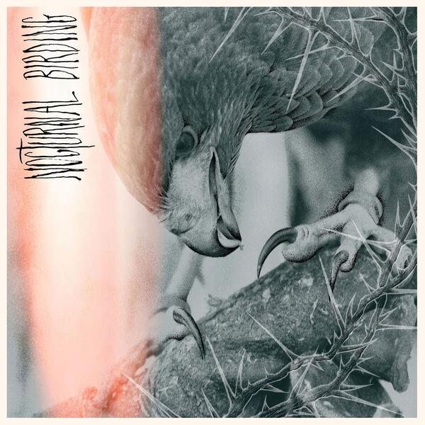 Author &amp; Punisher - Nocturnal Birding