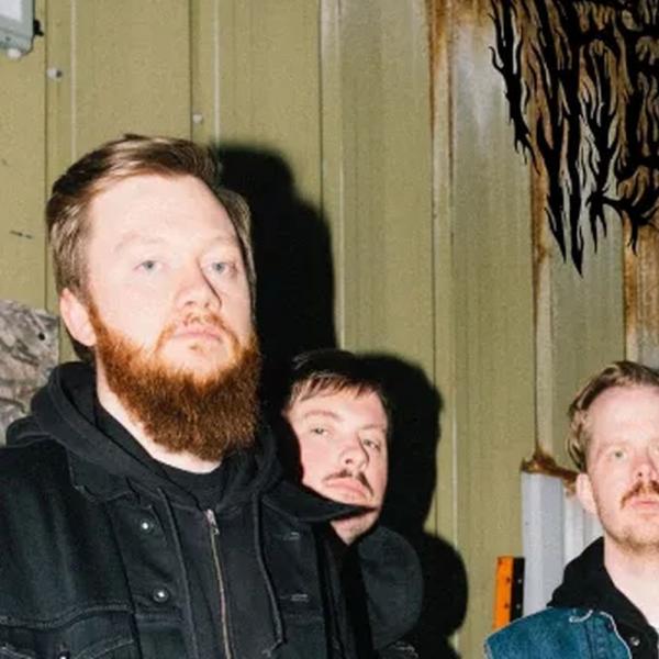 Reaping Flesh - Discography (2022 - 2025)