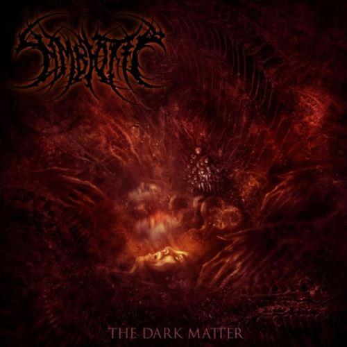 Symbiotic - The Dark Matter
