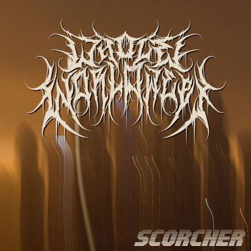 Whole World Wept - Discography (2025 - 2026)