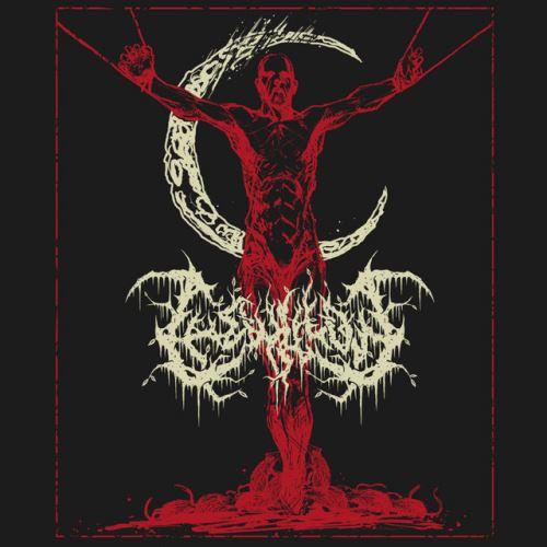 The Willow - Discography (2017 - 2026)