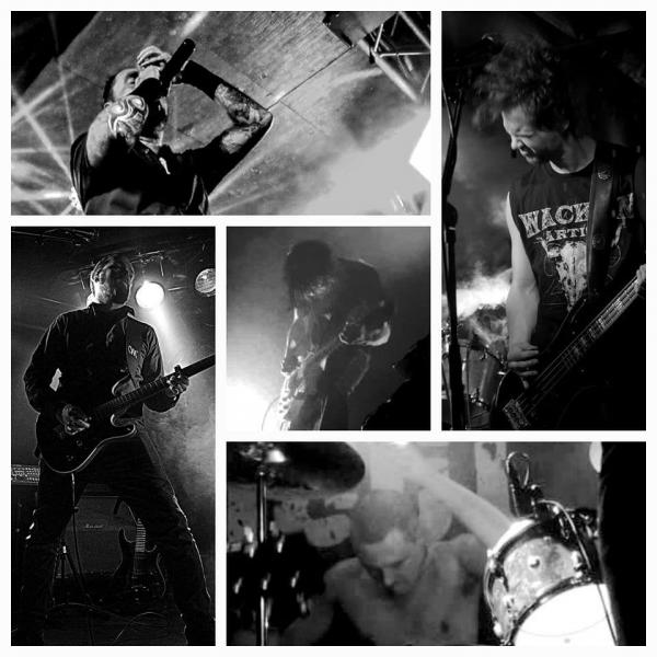 Miserate - Discography (2024 - 2025)