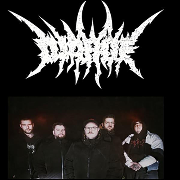 Diaroe - Discography (2011 - 2026)