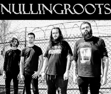 Nullingroots - Discography (2014 - 2026) (Upconvert)
