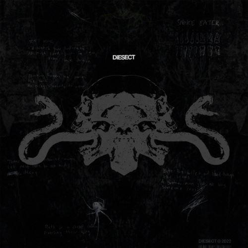 Diesect - Discography (2022 - 2026)