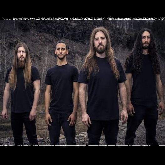 Beyond Creation - Discography (2010 - 2026)