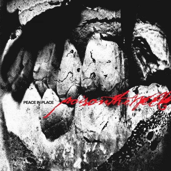 Poison The Well - Peace In Place (Lossless)