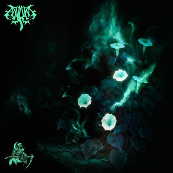 Asylum TX - Cultus Inoxia