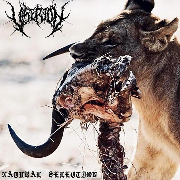 Viserion - Natural Selection