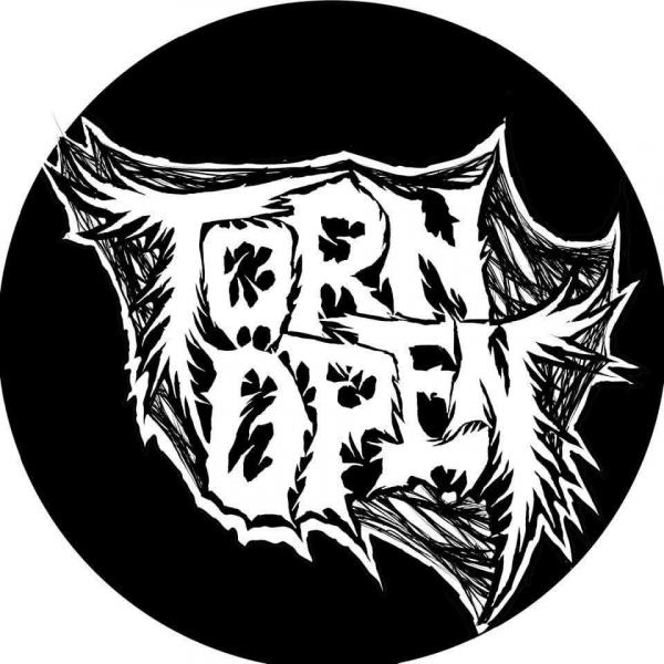 Torn Open - Discography (2025 - 2026)