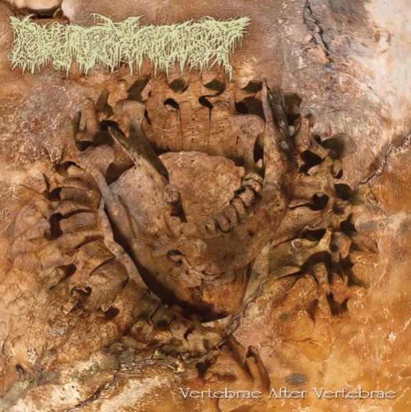 Pharmacist - Vertebrae After Vertebrae (Lossless)