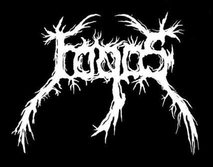Fogos - Discography (2022 - 2026) (Upconvert)