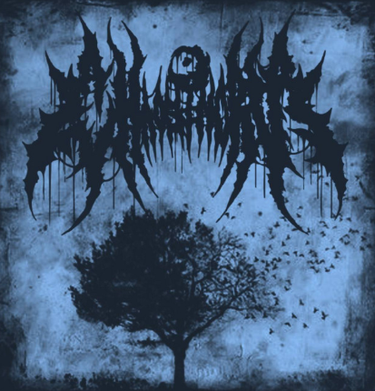 Chaos In Order - Discography (2026)