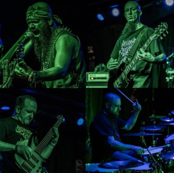 Swamp Tooth - Discography (2022 - 2024)