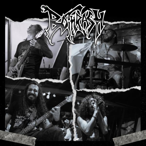 Bothrash - Discography (2017 - 2026) (Upconvert)