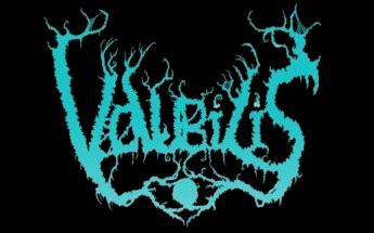 Volubilis - Discography (2023 - 2026)