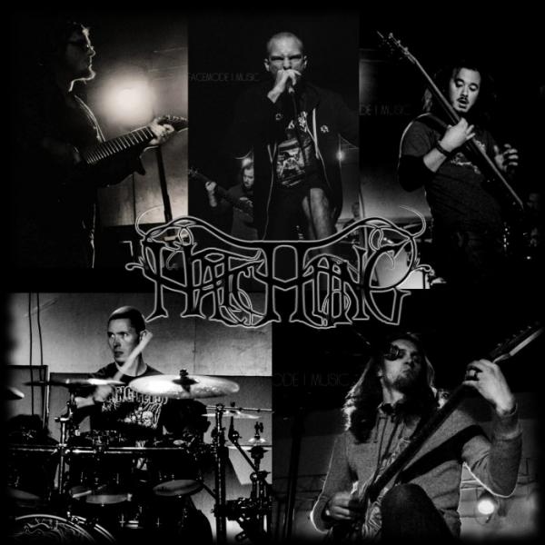 Hatchling - Discography (2013 - 2026)