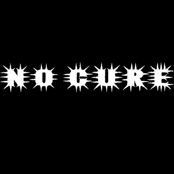 No Cure - Discography (2022 - 2026) (Lossless)