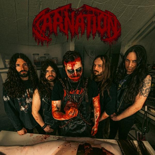 Carnation - Discography (2015 - 2026) (Lossless)