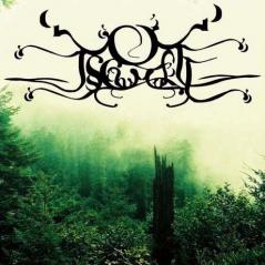 The Sun Came Up Upon The Left - And The Dreams So Rich In Color