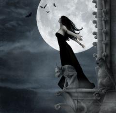 Various Artists - Gothic Metal Compilation