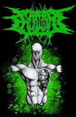 Chordotomy - Discography (2010-2012)