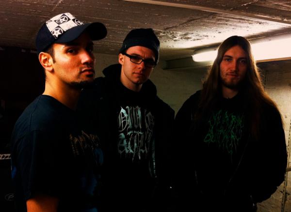 Encephalopathy - Discography (2011 - 2013)
