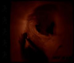 Sun Of The Blind - Skullreader (lossless)