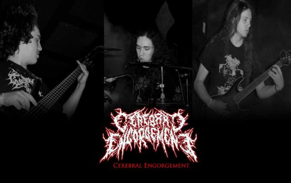 Cerebral Engorgement - Discography (2010 - 2013)