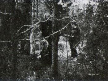 Pan.Thy.Monium - Discography (1990 - 2010)