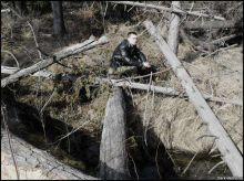 Liveride - Discography