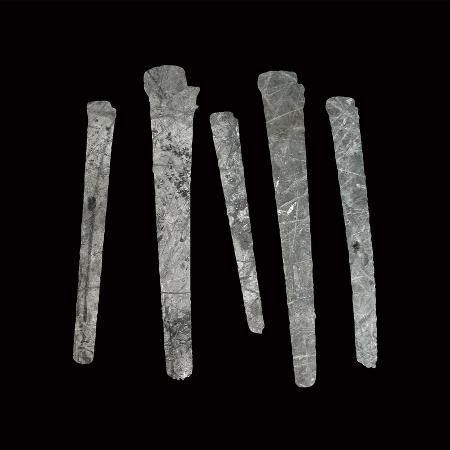 Anatomy of Habit - Anatomy of Habit