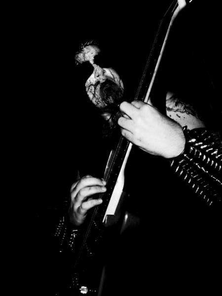 Warforged - Discography (2008 - 2014)