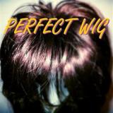 Perfect Wig - Perfect Wig