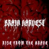 Brain Harvest - Rise from the Grave