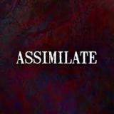 Assimilate - Discography (2013 - 2021)