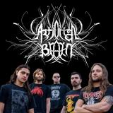 Artificial Brain - Discography (2011 - 2022) (Lossless)