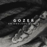 Gozer - An Endless Static (Lossless)