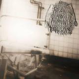 Slow and Painful Mental Wounds - Discography (2014 - 2015)