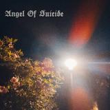 Angel Of Suicide - Suicide Symphony (Lossless)