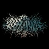The Seraphim Veil - Discography (2012 - 2022)