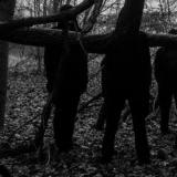 Profeci - Discography (2020 - 2026)