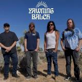 Yawning Balch - Discography (2023 - 2026) (Lossless)