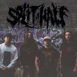Split In Half - Discography (2023 - 2026)