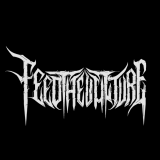 Feed The Vulture - Discography (2016 - 2024)