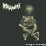 Necropurulence - Anatomy of the Grotesque (Demo) (Lossless)