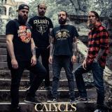 Calyces - Discography (2020 - 2025) (Lossless)