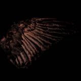 Fryktelig Støy - Incandescent