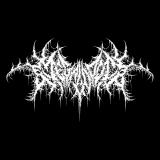 Megalodón - Discography (2024 - 2026)