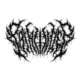 Painfinder - Discography (2024 - 2025)